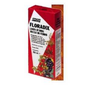 Floradix Ferro 250ml