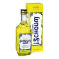 SOLUZIONE SCHOUM FORTE*orale soluz 250 g