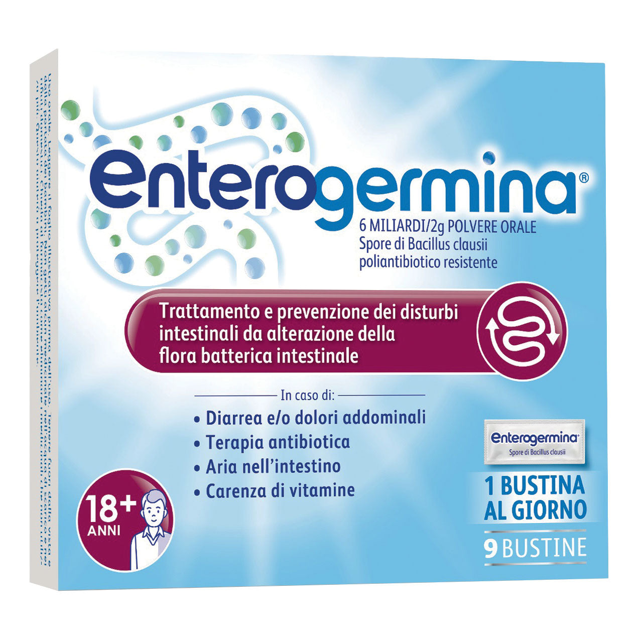 ENTEROGERMINA*orale sosp 9 bust 6 mld/2 g