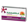 KALOBAGOLA 20 COMPRESSE BALSAMICO