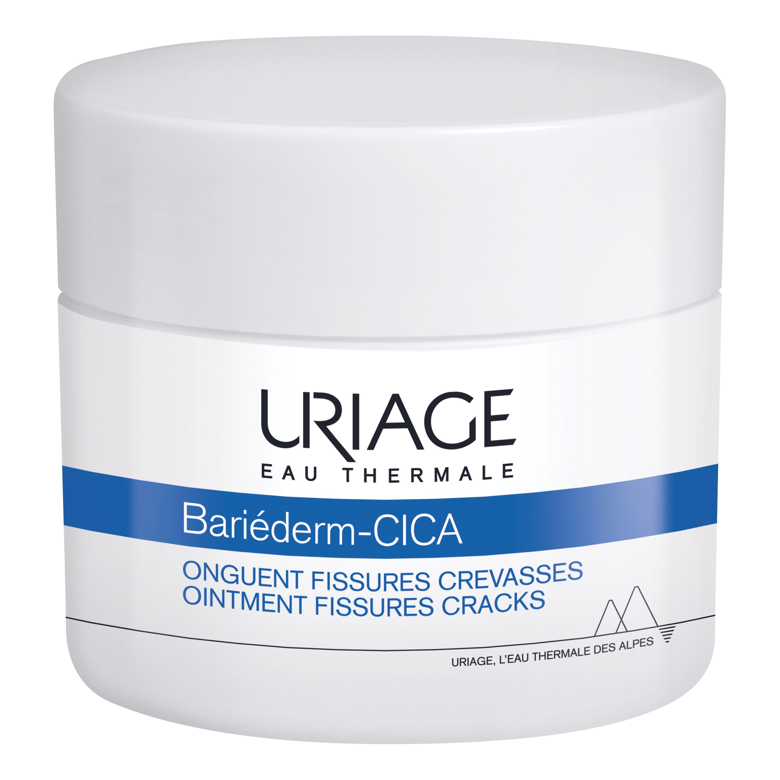 BARIEDERM UNGUENTO 40 G