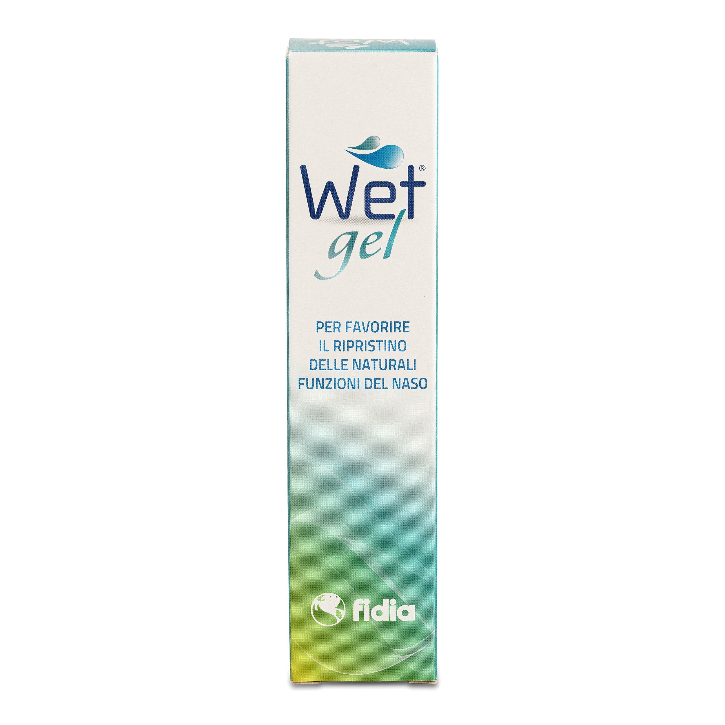 WET GEL 20 G