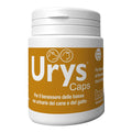 URYS CAPS 30 CAPSULE