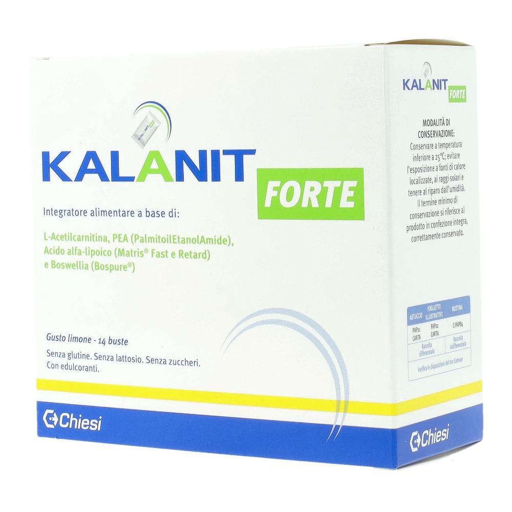 KALANIT FORTE 14 BUSTINE