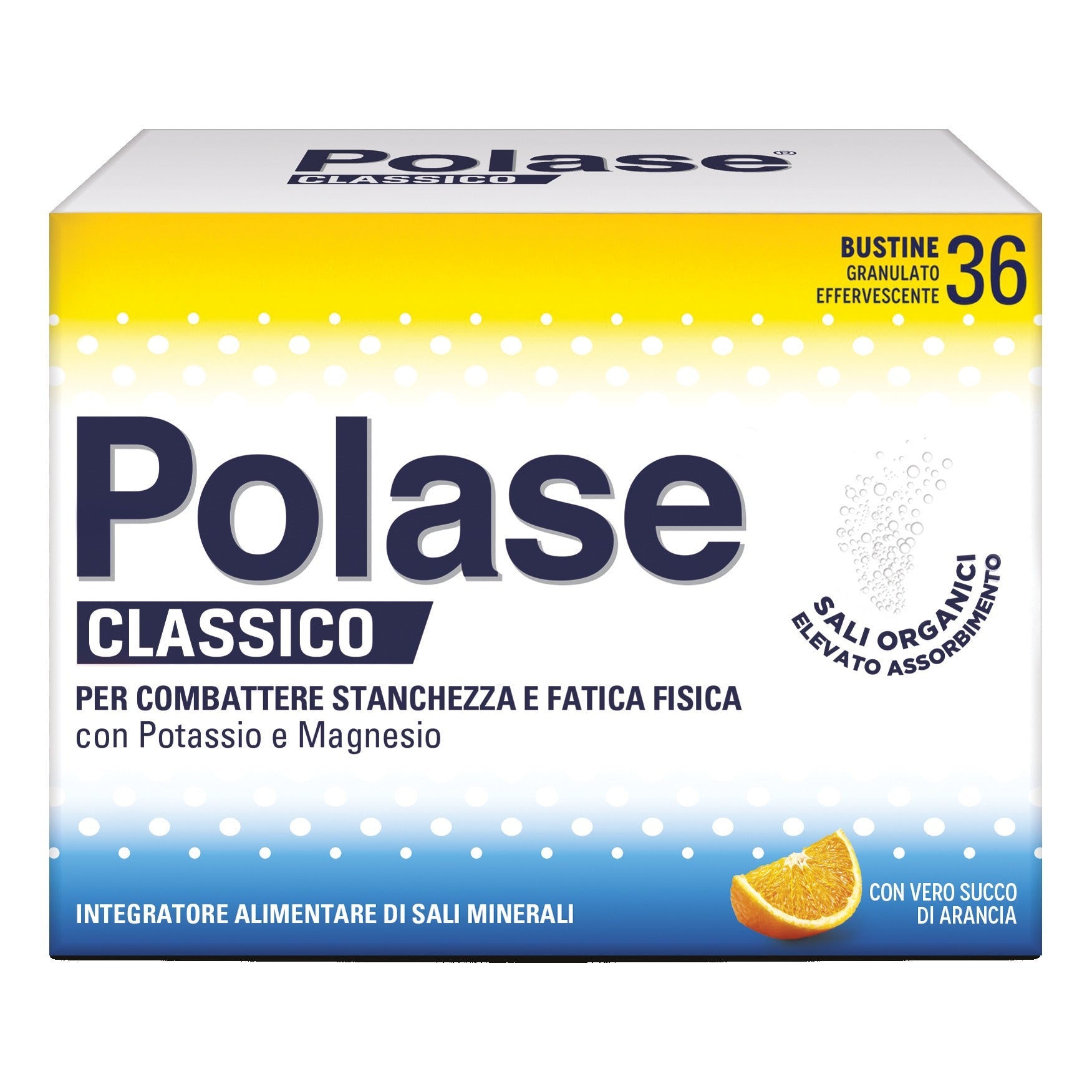 POLASE ARANCIA 36 BUSTINE PROMO